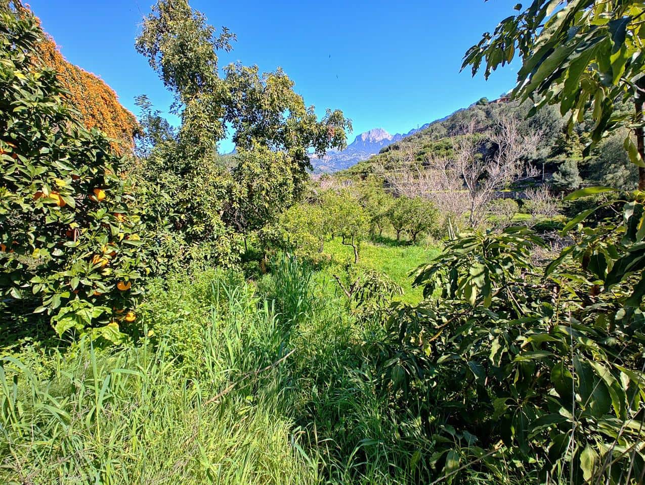 5 makuuhuone Huvila myytävänä paikassa Soller mukana 
autotalli - 650 000 € (Ref: 9679138)