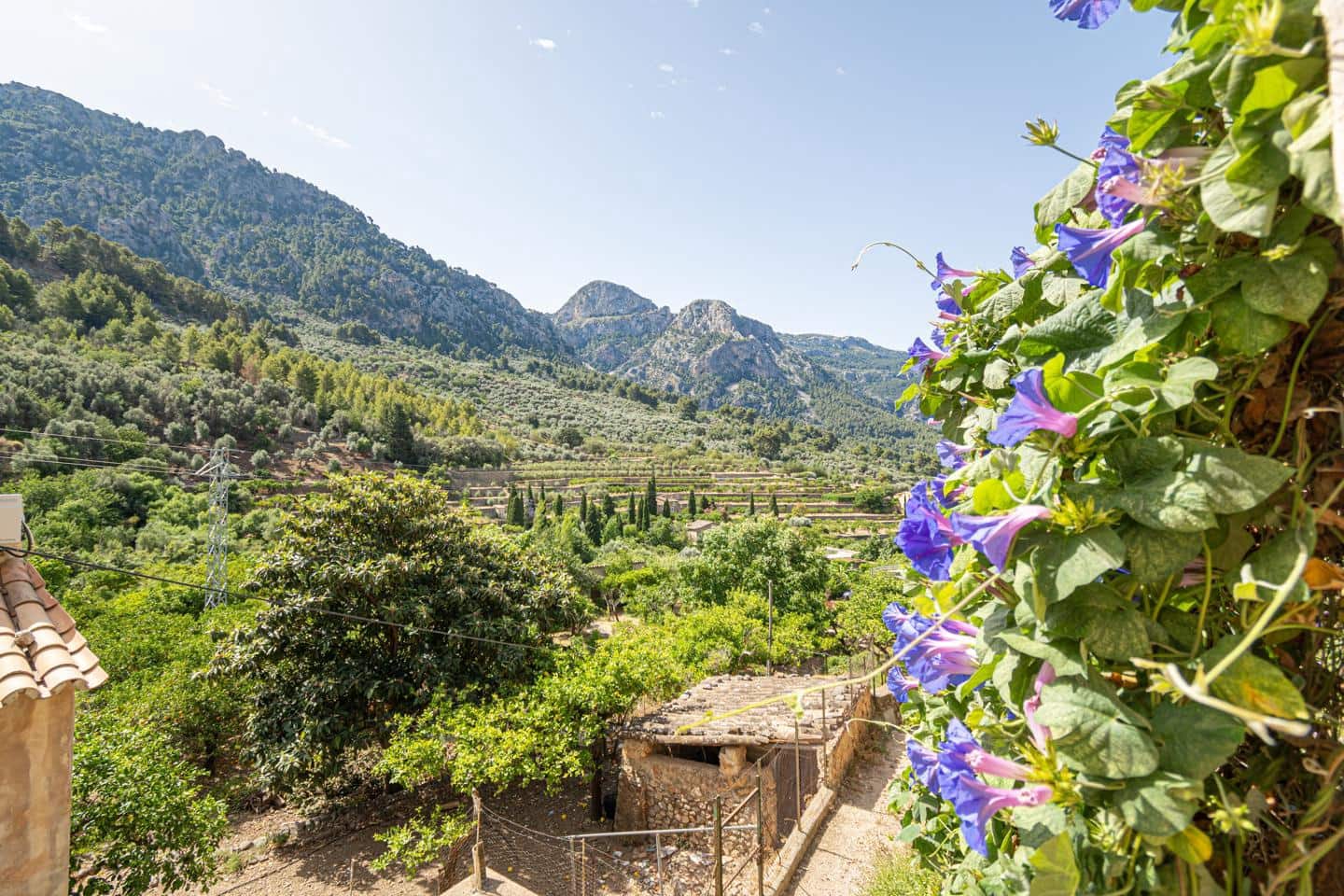 3 bedroom Villa for rent in Fornalutx - € 1,800 (Ref: 9935205)