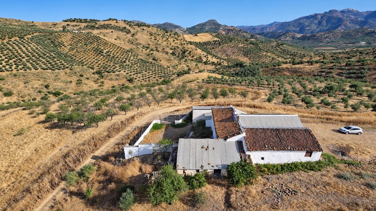 4 Zimmer Finca/Landgut zu verkaufen in Almachar mit Garage - 299.000 € (Ref: 10136603)