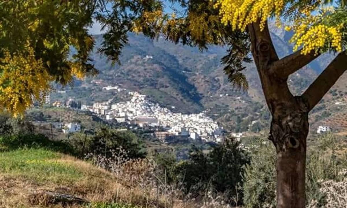 33 soveværelse Hotel til salg i Tolox med garage - € 970.000 (Ref: 7898776)