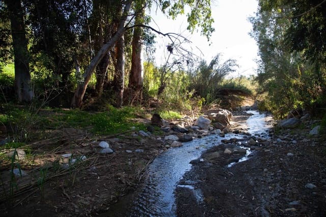 4 quarto Quinta/Casa Rural para venda em Casarabonela com piscina - 395 000 € (Ref: 8687032)