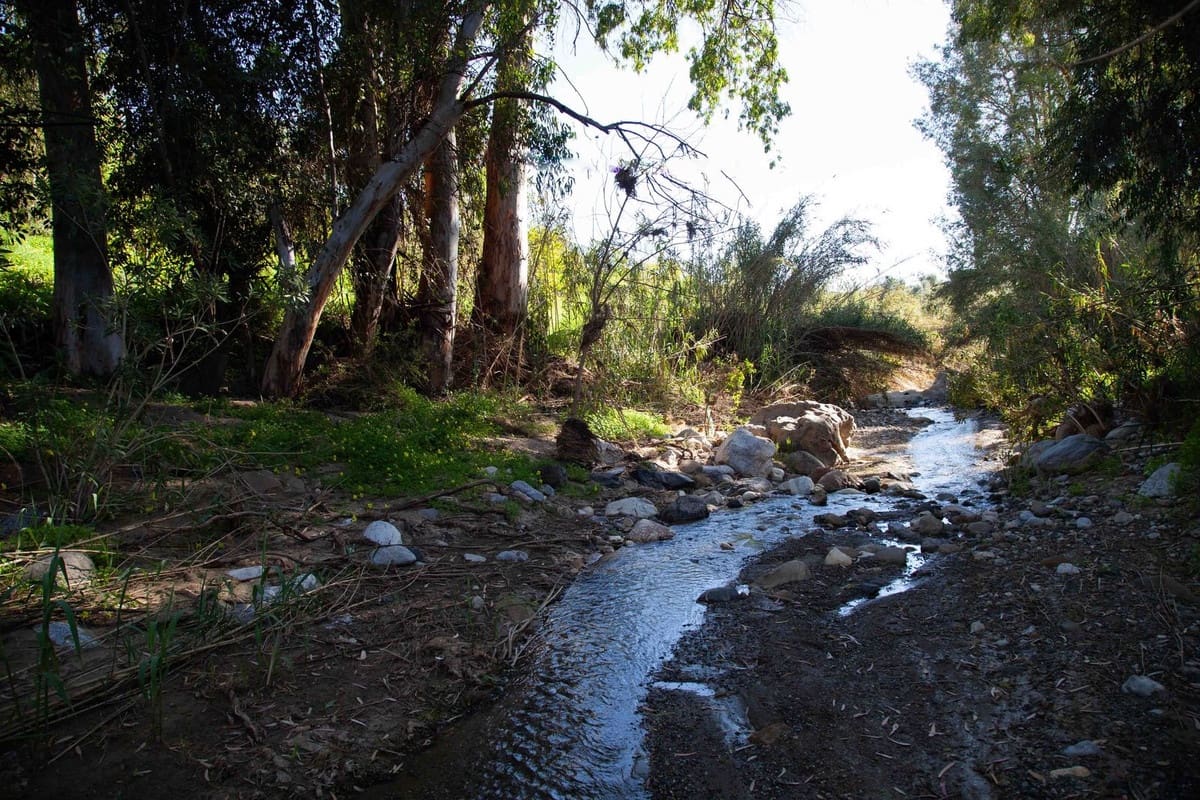 4 Zimmer Finca/Landgut zu verkaufen in Casarabonela mit Pool - 395.000 € (Ref: 8687032)