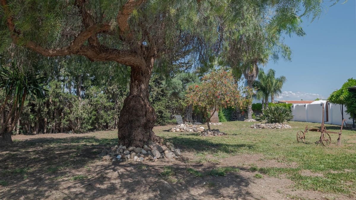 4 soveværelse Finca/Landehus til salg i Coin med swimmingpool garage - € 1.300.000 (Ref: 8994377)