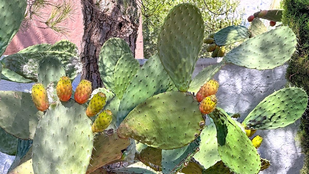 6 soverom Finca/Herregård til salgs i Riogordo med svømmebasseng garasje - € 1 200 000 (Ref: 9249388)