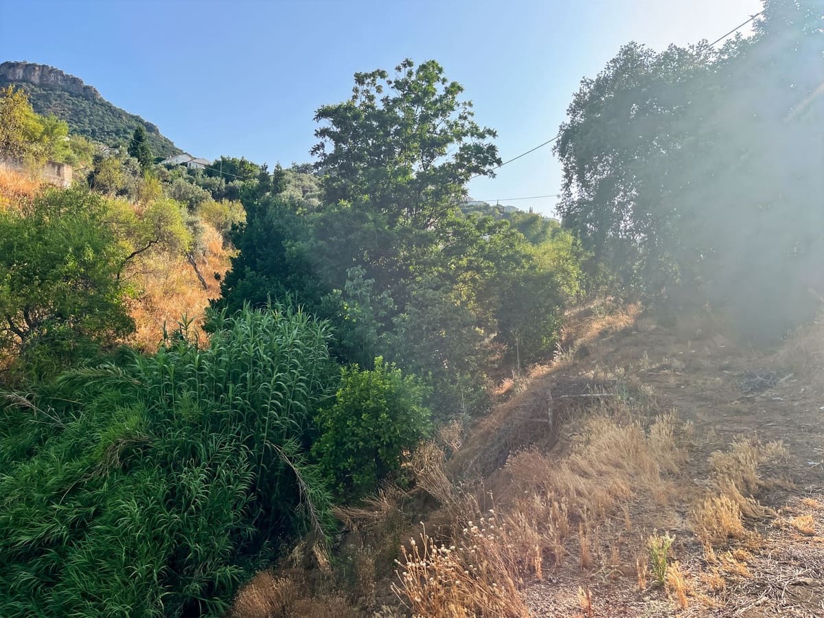 5 soveværelse Finca/Landehus til salg i Comares - € 288.000 (Ref: 9363271)