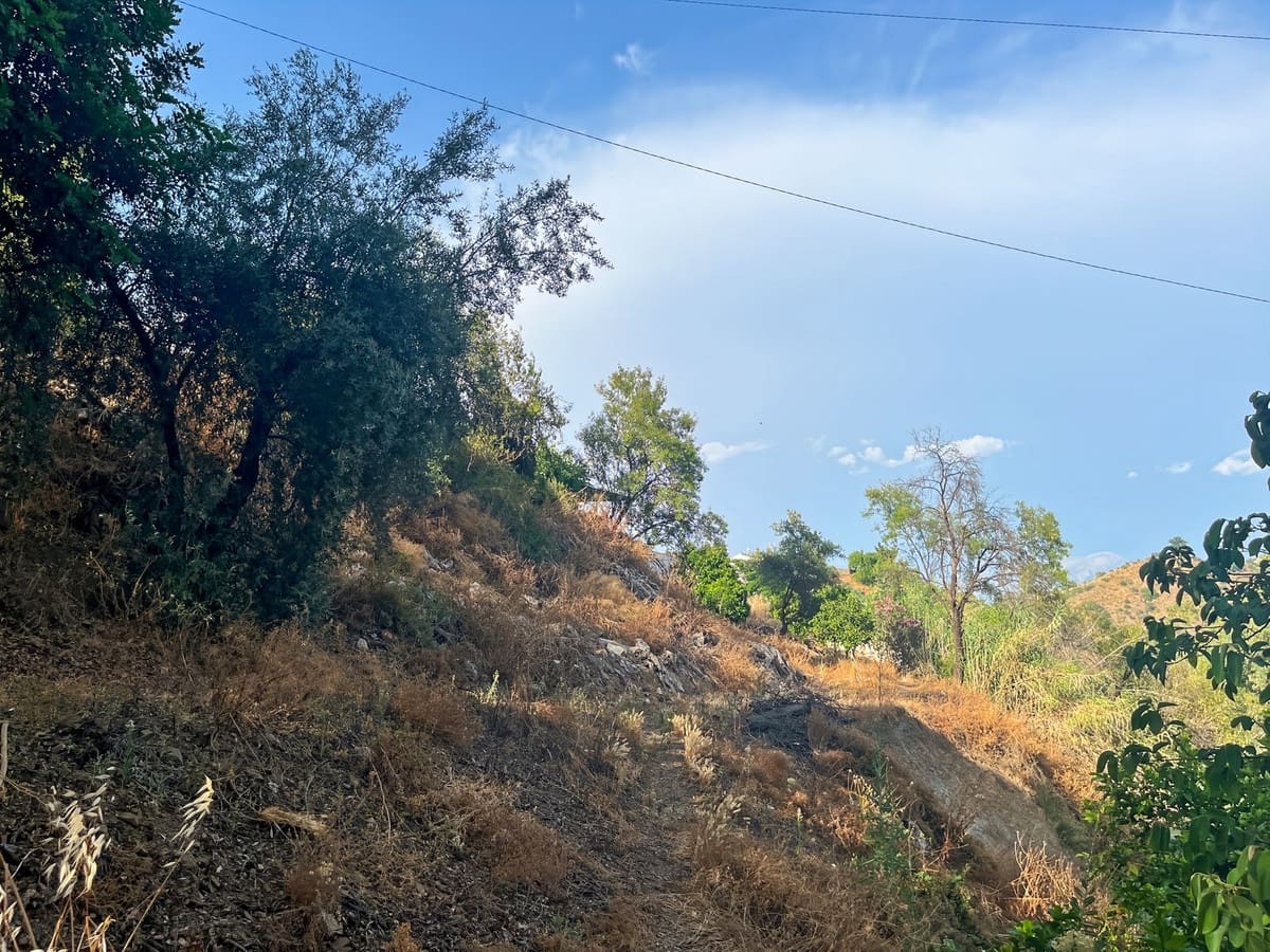 5 soveværelse Finca/Landehus til salg i Comares - € 288.000 (Ref: 9363271)