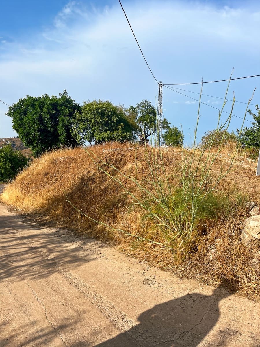 5 soveværelse Finca/Landehus til salg i Comares - € 288.000 (Ref: 9363271)