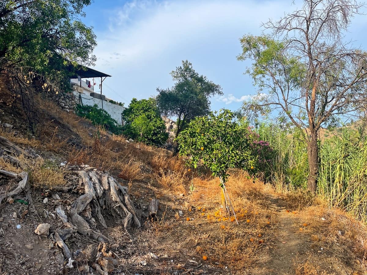 5 soveværelse Finca/Landehus til salg i Comares - € 288.000 (Ref: 9363271)