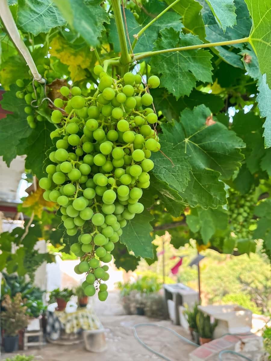 5 bedroom Finca/Country House for sale in Comares - € 288,000 (Ref: 9363271)