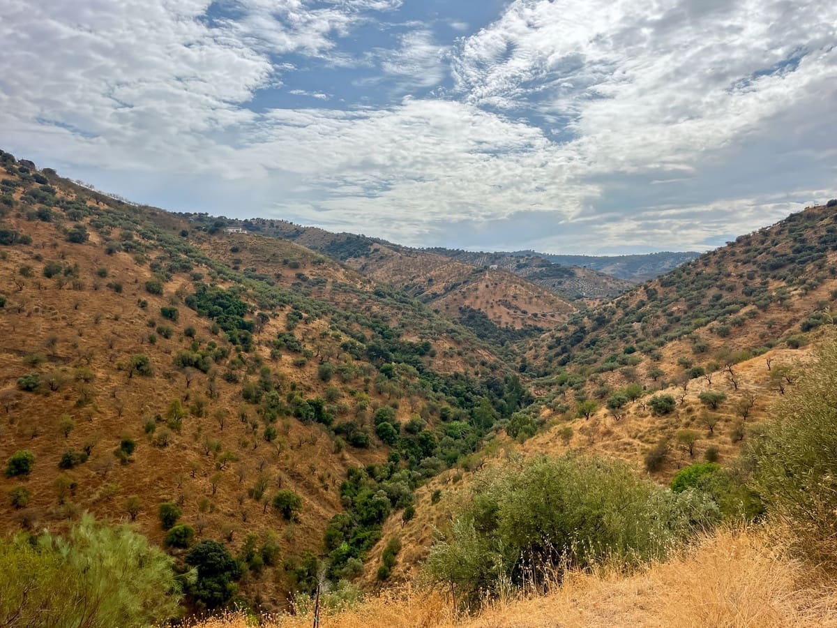 5 chambre Finca/Maison de Campagne à vendre à Comares avec garage - 194 500 € (Ref: 9363273)