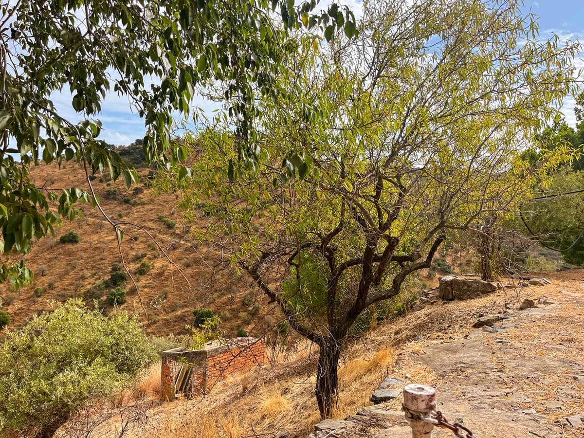 5 chambre Finca/Maison de Campagne à vendre à Comares avec garage - 194 500 € (Ref: 9363273)