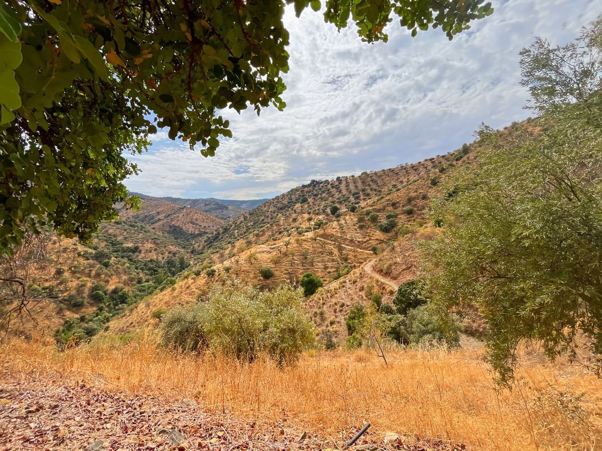 5 Zimmer Finca/Landgut zu verkaufen in Comares mit Garage - 184.000 € (Ref: 9363273)