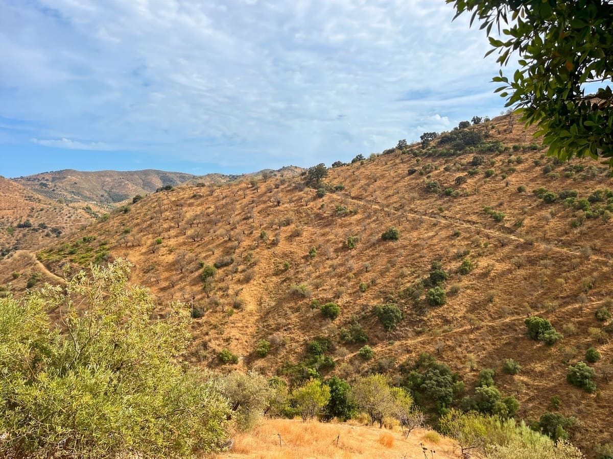 5 Zimmer Finca/Landgut zu verkaufen in Comares mit Garage - 184.000 € (Ref: 9363273)