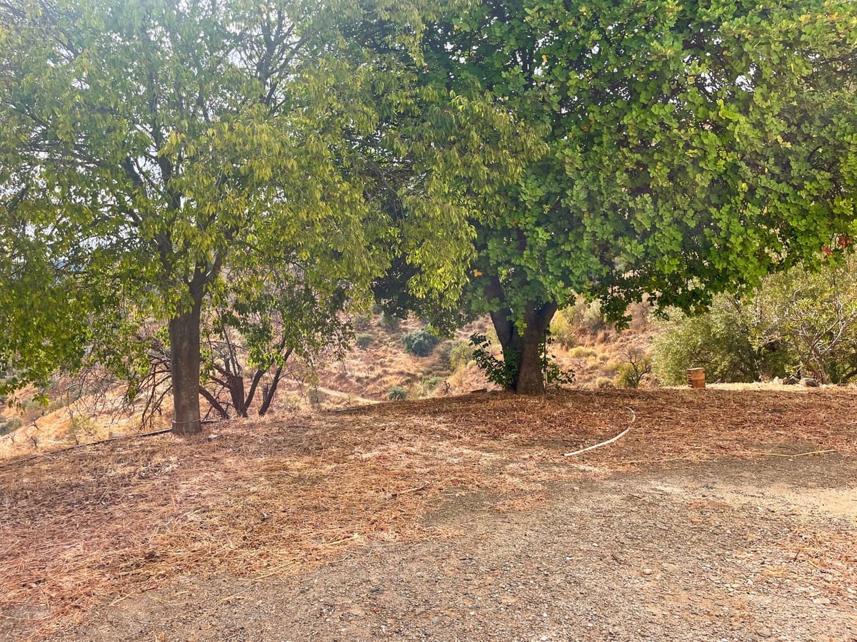 5 Zimmer Finca/Landgut zu verkaufen in Comares mit Garage - 184.000 € (Ref: 9363273)