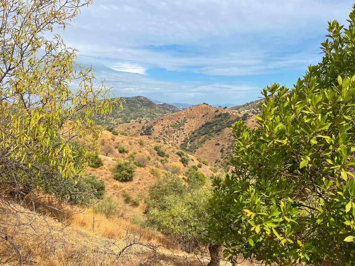 5 Zimmer Finca/Landgut zu verkaufen in Comares mit Garage - 184.000 € (Ref: 9363273)