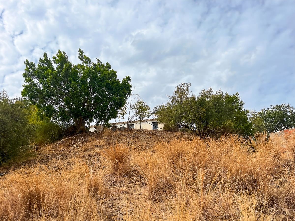 5 Zimmer Finca/Landgut zu verkaufen in Comares mit Garage - 184.000 € (Ref: 9363273)