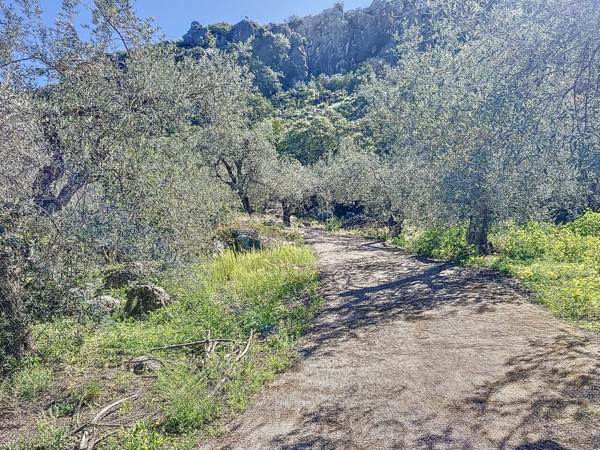 4 soveværelse Finca/Landehus til salg i Comares - € 324.000 (Ref: 9363387)