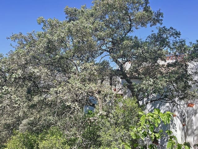 4 soveværelse Finca/Landehus til salg i Comares - € 324.000 (Ref: 9363387)