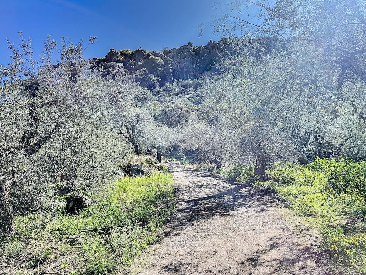 Finca/Casa Rural de 4 habitaciones en Comares en venta - 324.000 € (Ref: 9363387)