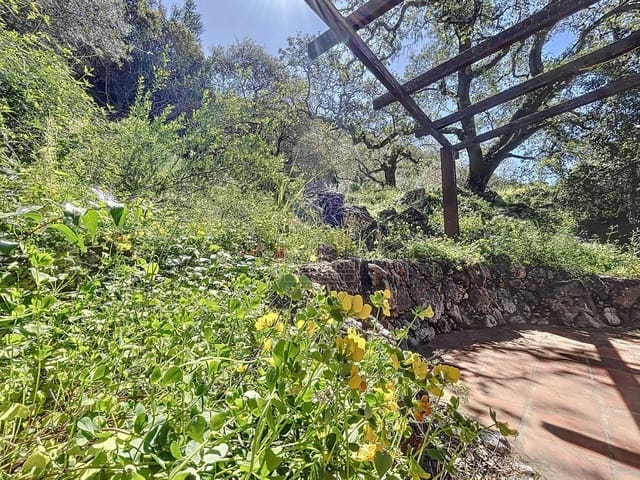 4 quarto Quinta/Casa Rural para venda em Comares - 324 000 € (Ref: 9363387)