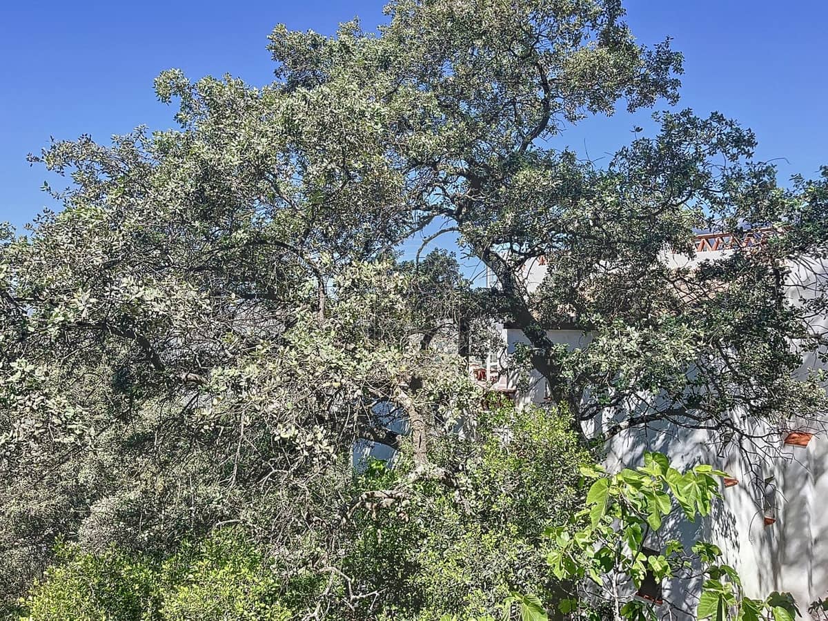 4 soverom Finca/Herregård til salgs i Comares - € 324 000 (Ref: 9363387)