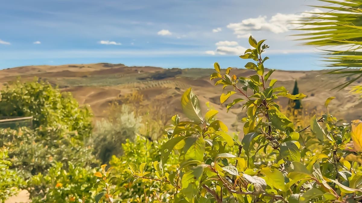 2 bedroom Finca/Country House for sale in Villanueva de la Concepcion with pool garage - € 275,000 (Ref: 9421989)