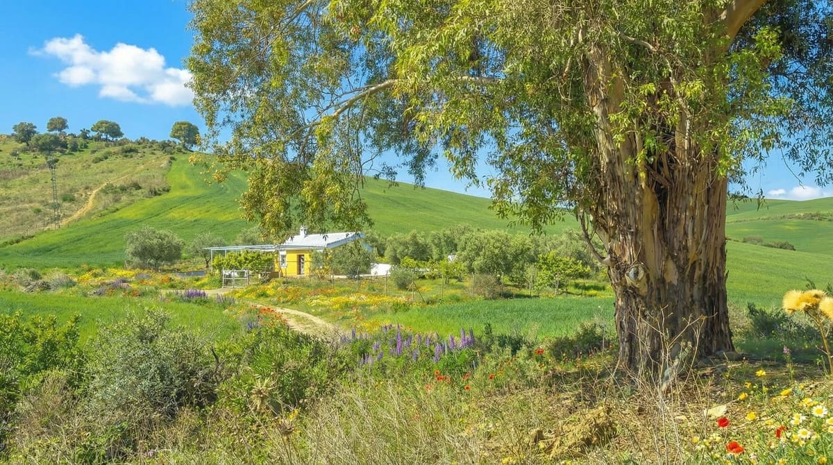 2 soveværelse Finca/Landehus til salg i Coin med swimmingpool garage - € 250.000 (Ref: 9448931)