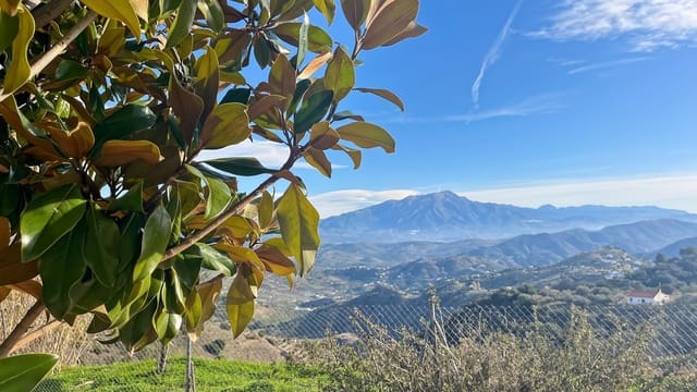 4 slaapkamer Villa te koop in Colmenar met zwembad garage - € 436.000 (Ref: 9528942)