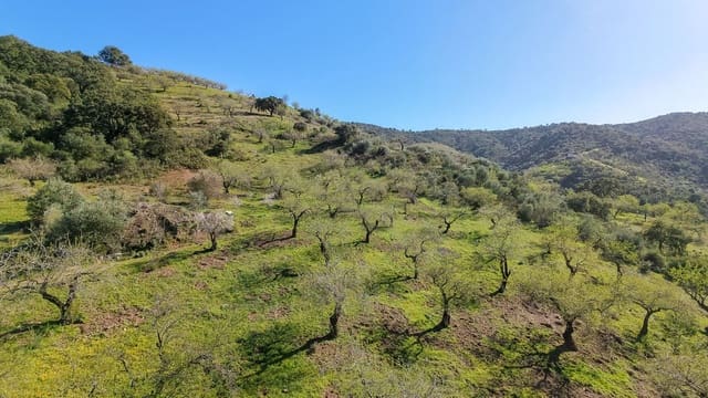Undeveloped Land for sale in Málaga city - € 85,000 (Ref: 9631861)