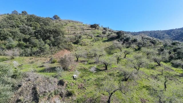 Rakentamaton maa myytävänä paikassa Málaga kaupunki - 85 000 € (Ref: 9631861)