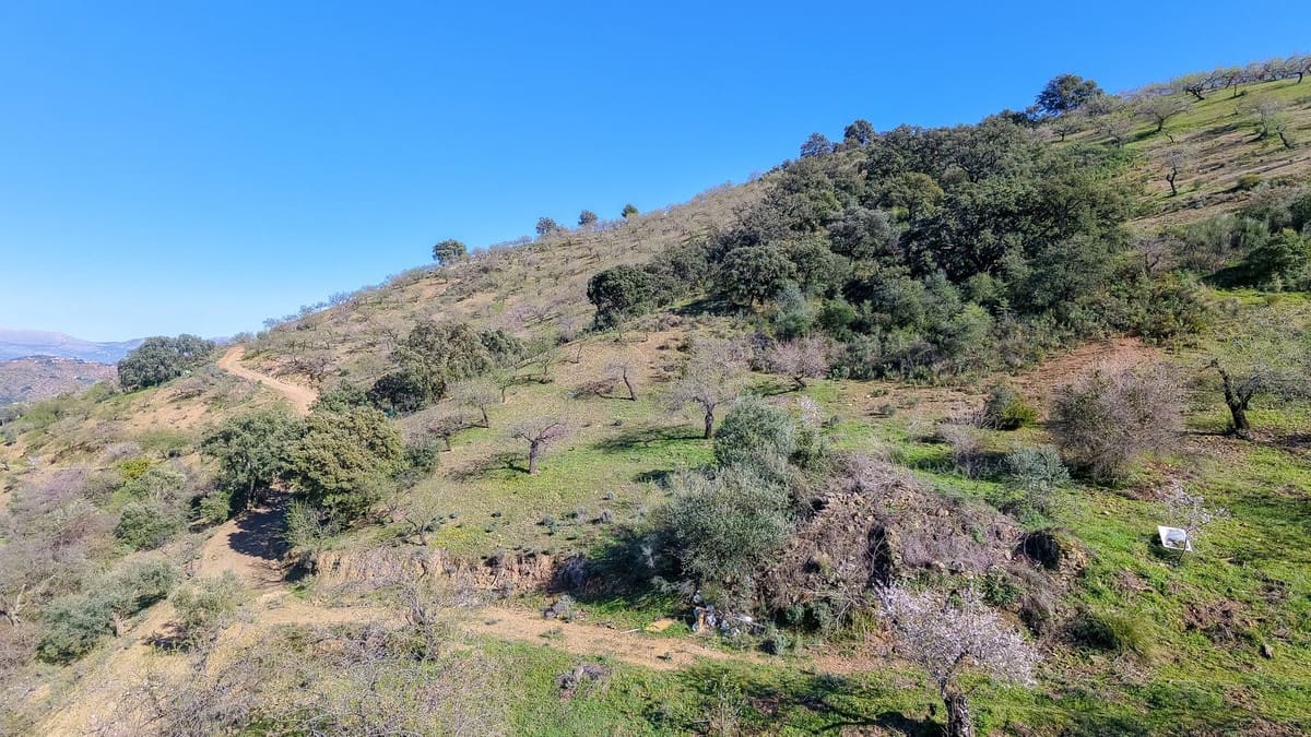 Ubebygd land til salgs i Malaga by - € 85 000 (Ref: 9631861)