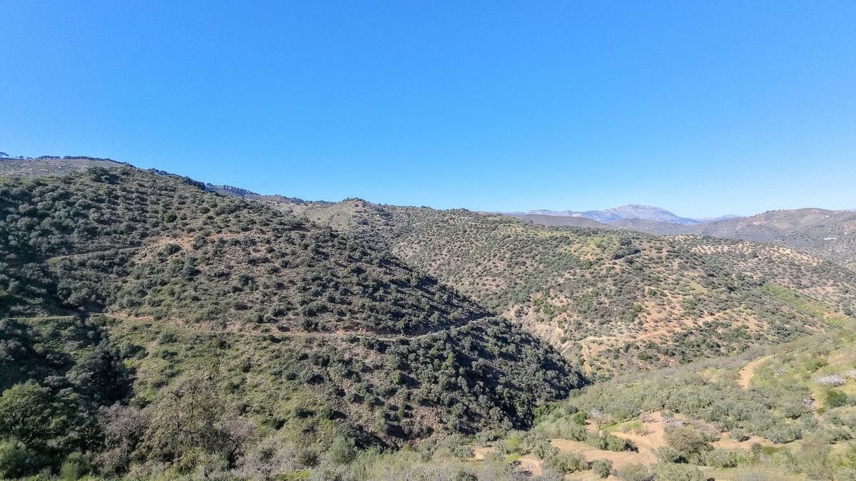 Ubebygd land til salgs i Malaga by - € 85 000 (Ref: 9631861)