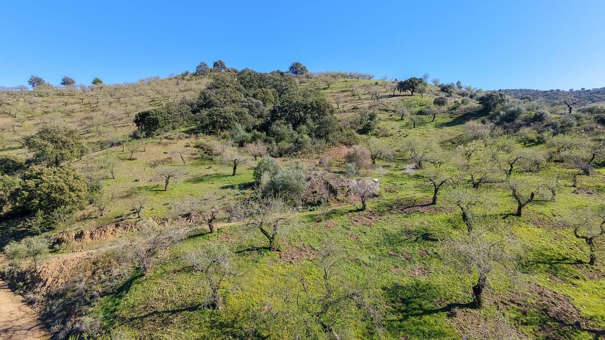 Ubebygd land til salgs i Malaga by - € 85 000 (Ref: 9631861)