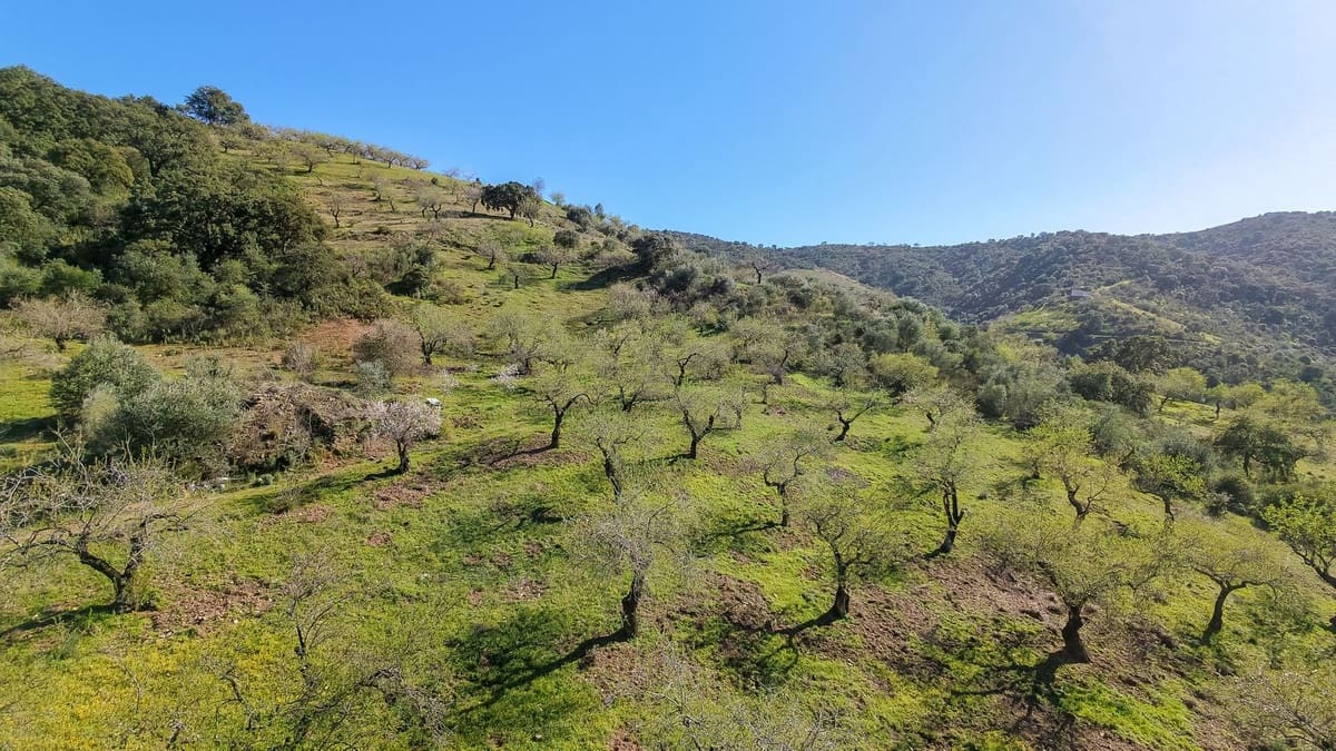 Ubebygd land til salgs i Malaga by - € 85 000 (Ref: 9631861)