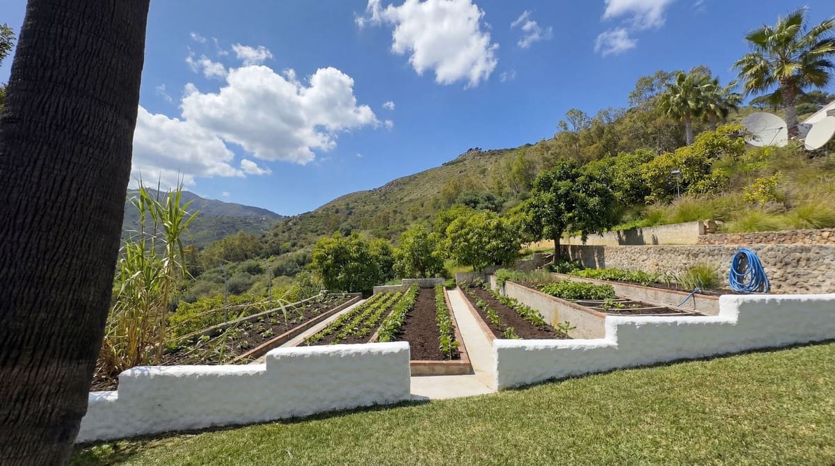 5 bedroom Finca/Country House for sale in Alhaurin el Grande with pool garage - € 2,150,000 (Ref: 9696779)