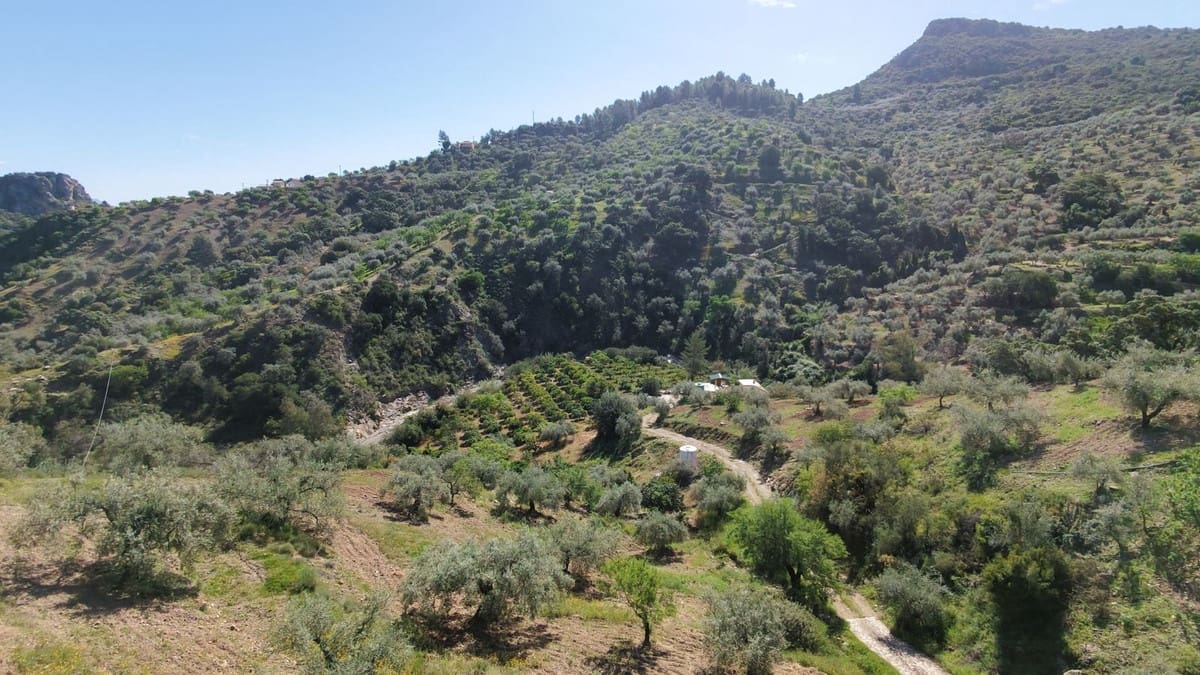4 soveværelse Finca/Landehus til salg i Comares med swimmingpool garage - € 295.000 (Ref: 9824083)