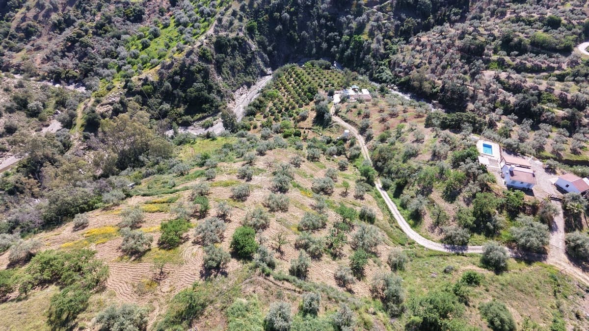 4 soveværelse Finca/Landehus til salg i Comares med swimmingpool garage - € 295.000 (Ref: 9824083)