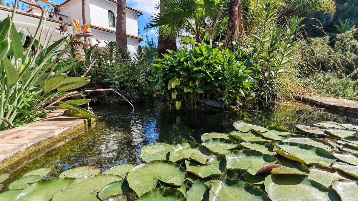 5 soveværelse Finca/Landehus til salg i Alhaurin el Grande med swimmingpool garage - € 2.150.000 (Ref: 9932449)