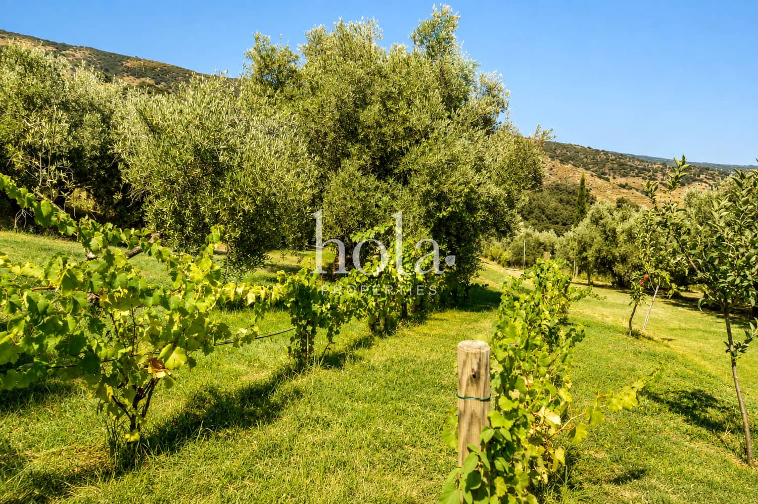 3 soverom Finca/Herregård til salgs i Canar med svømmebasseng - € 450 000 (Ref: 10077280)