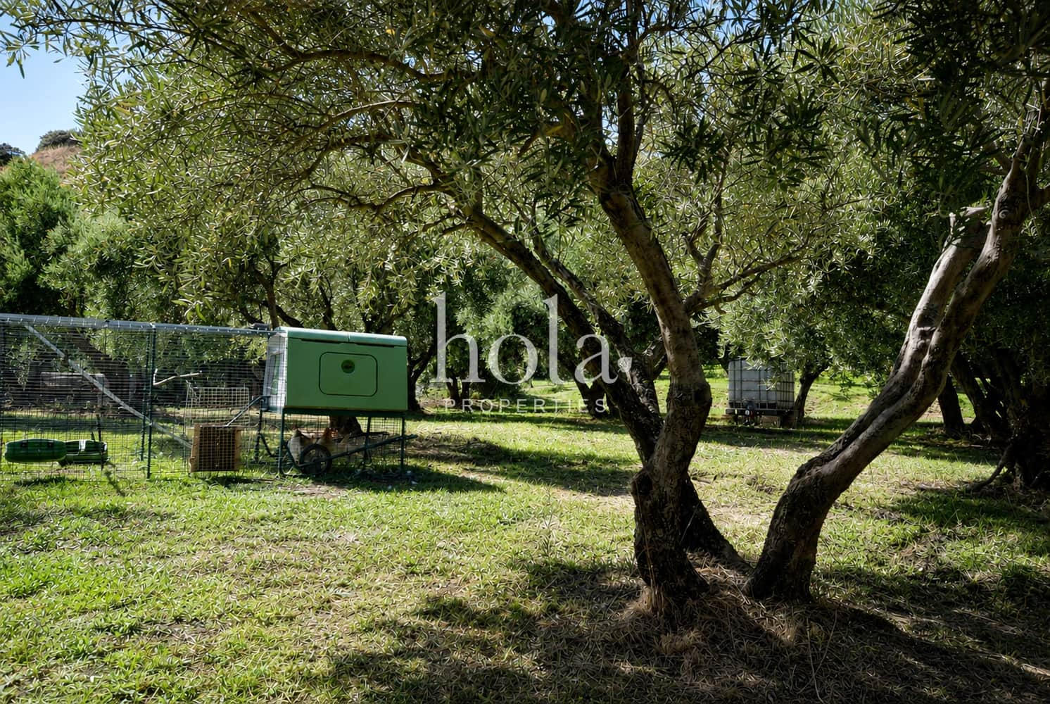 3 soverom Finca/Herregård til salgs i Canar med svømmebasseng - € 450 000 (Ref: 10077280)