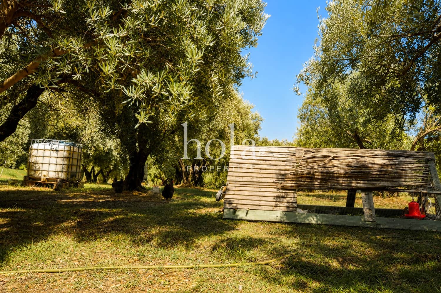 3 soverom Finca/Herregård til salgs i Canar med svømmebasseng - € 450 000 (Ref: 10077280)
