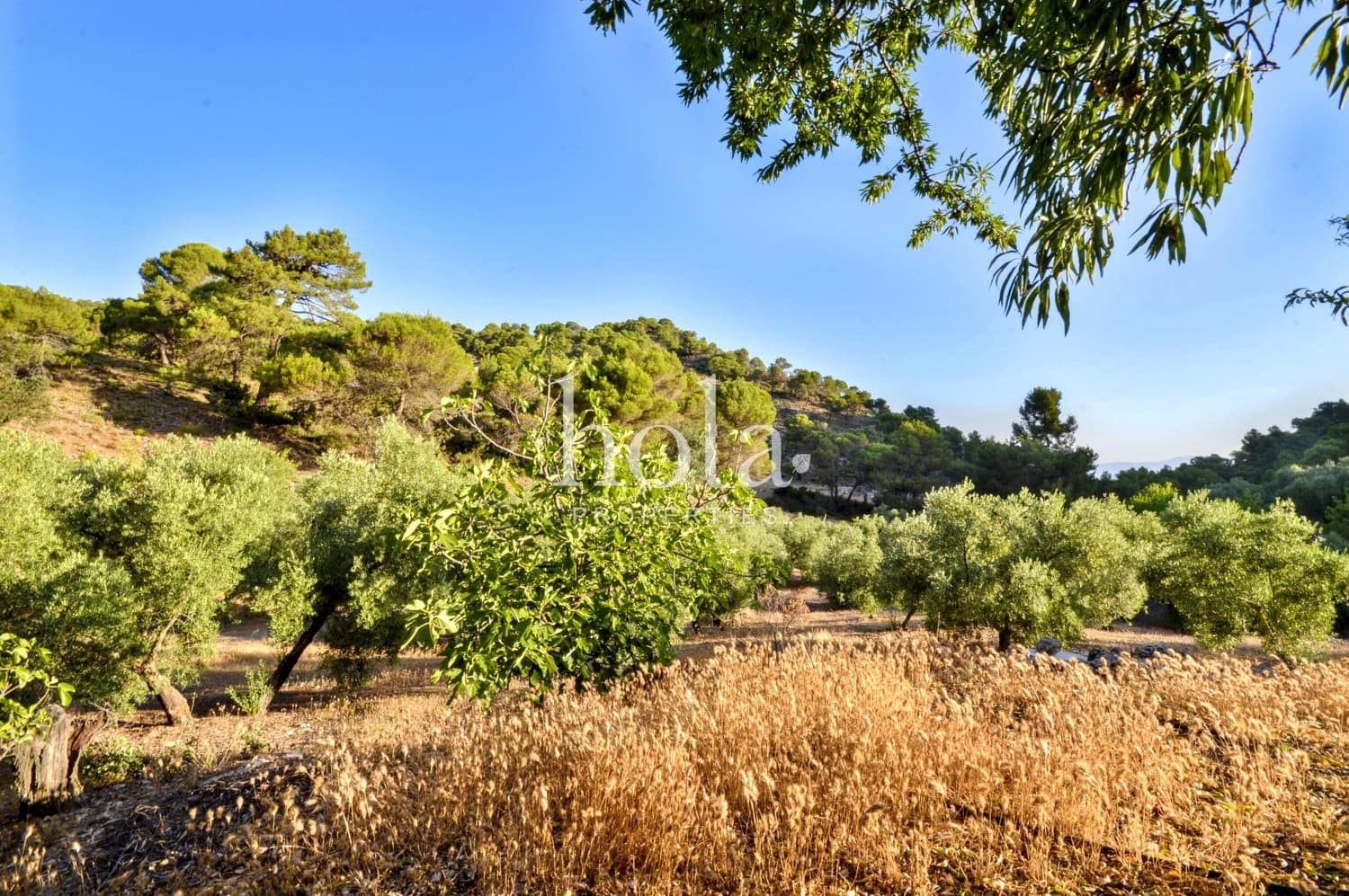 2 sovrum Finca/Hus på landet till salu i Albunuelas - 125 000 € (Ref: 9183971)