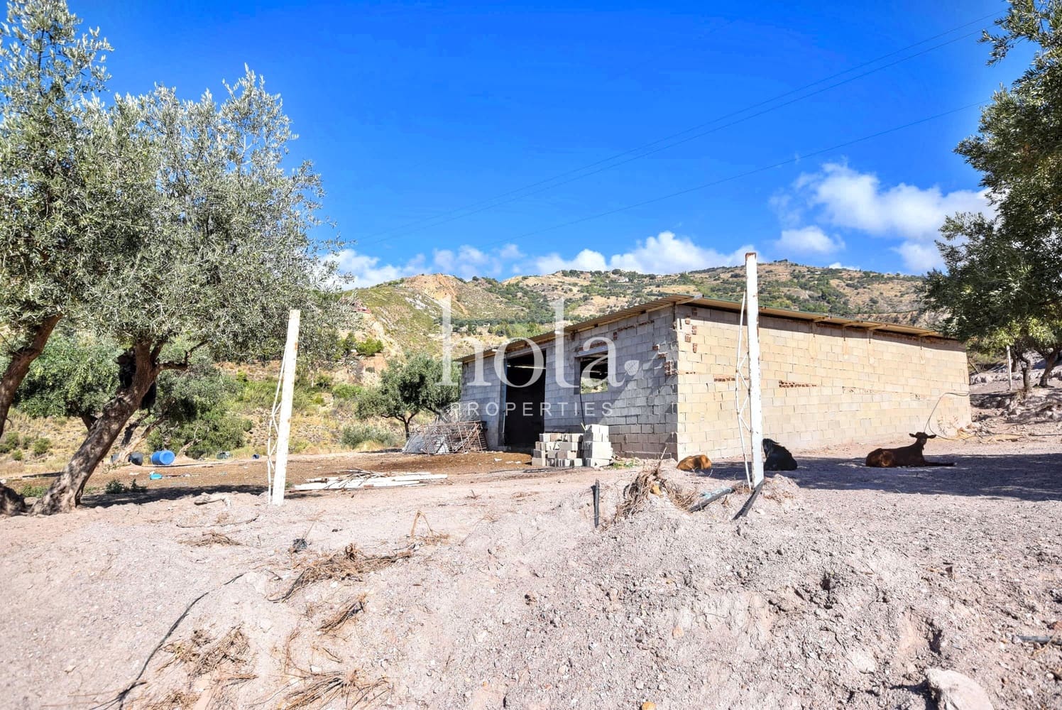 4 bedroom Finca/Country House for sale in Orgiva - € 260,000 (Ref: 9374698)