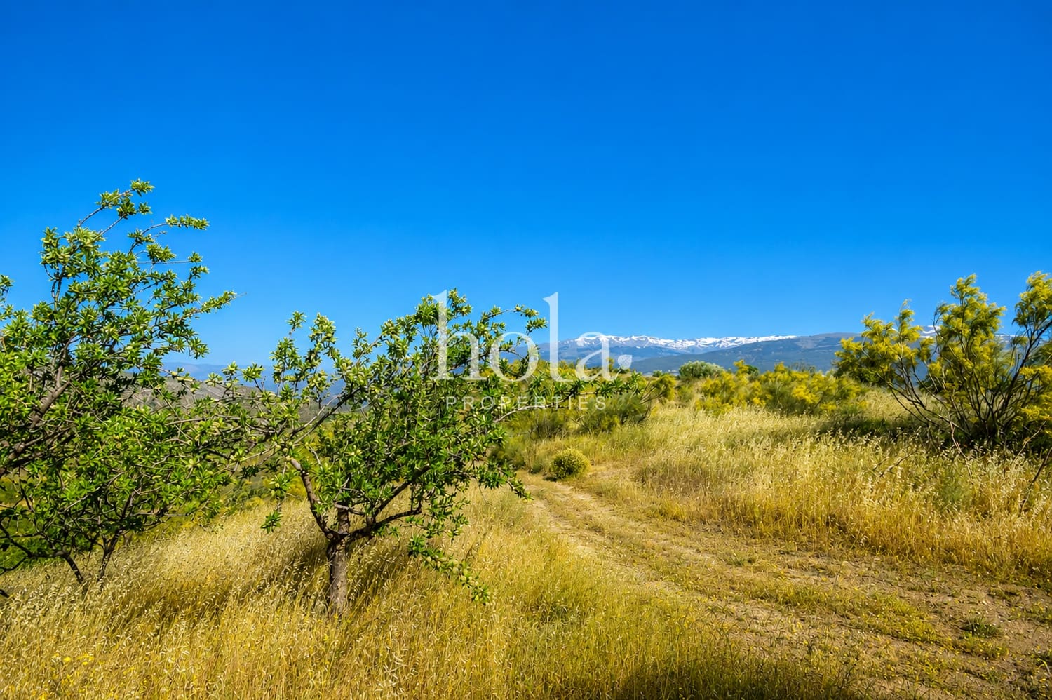 Finca/Casa Rural de 2 habitaciones en Torvizcón en venta con garaje - 110.000 € (Ref: 9932324)