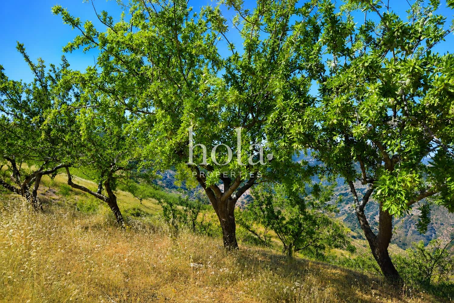 Finca/Casa Rural de 2 habitaciones en Torvizcón en venta con garaje - 110.000 € (Ref: 9932324)