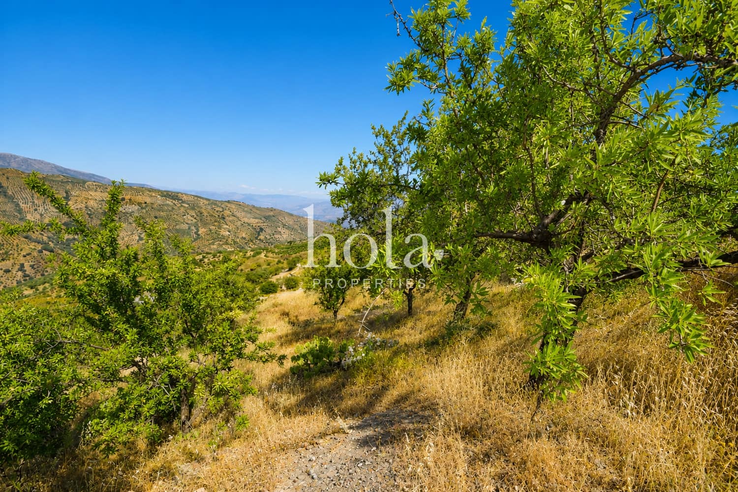 Finca/Casa Rural de 2 habitaciones en Torvizcón en venta con garaje - 110.000 € (Ref: 9932324)