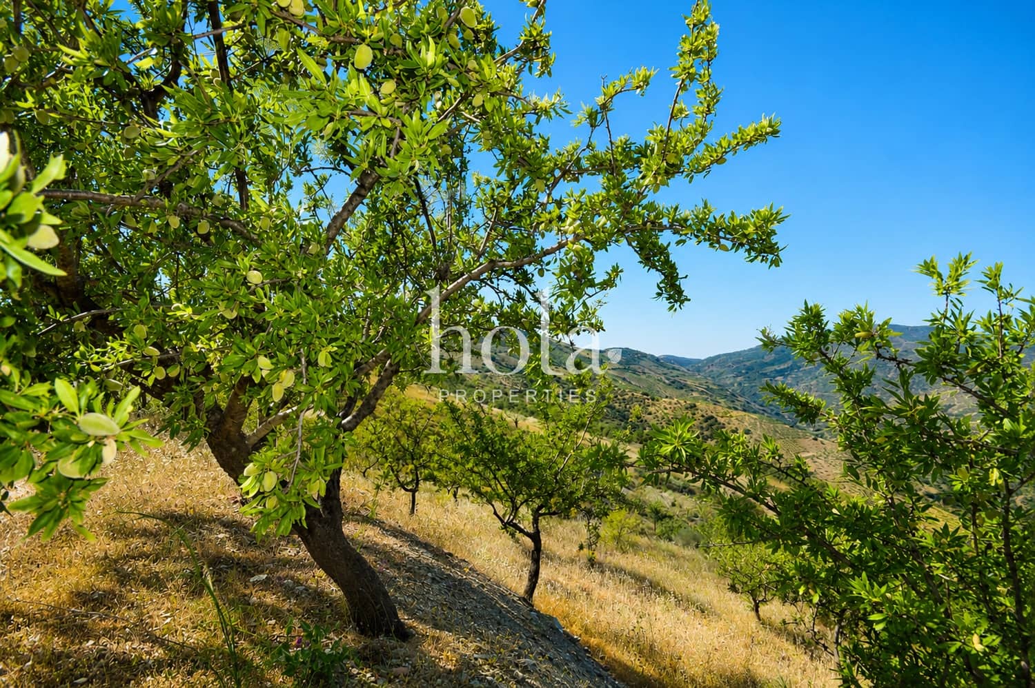 Finca/Casa Rural de 2 habitaciones en Torvizcón en venta con garaje - 110.000 € (Ref: 9932324)