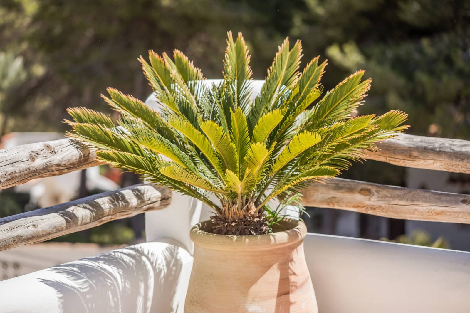 4 bedroom Villa for sale in Javea / Xabia with pool - € 1,195,000 (Ref: 9075943)