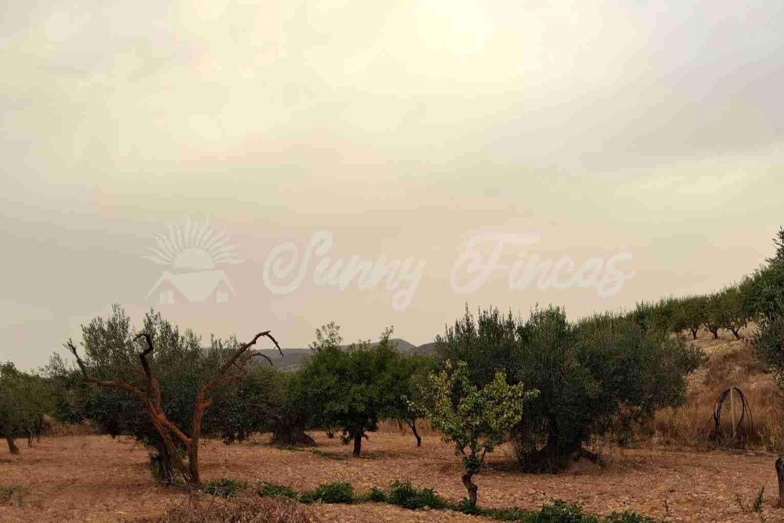 3 chambre Finca/Maison de Campagne à vendre à Pinoso avec garage - 196 000 € (Ref: 10041621)
