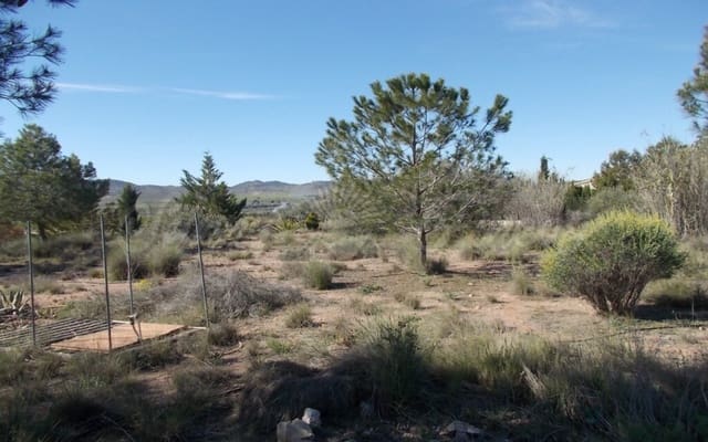 Finca/Herregård til salgs i Yecla - € 49 000 (Ref: 6107413)